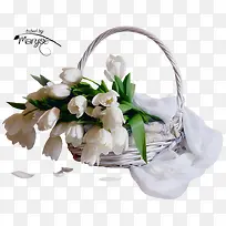 花卉ps素材花草素材-空若网 花卉ps素材花草素材-空若网