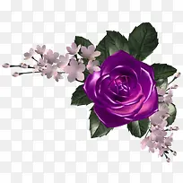 花草图案花草ps素材-空若网 花草图案花草ps素材-空若网