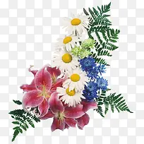 »¨²ÝpsËØ²Ä×°ÊÎËØ²Ä-¿ÕÈôÍø »¨²ÝpsËØ²Ä×°ÊÎËØ²Ä-¿ÕÈôÍø