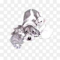 花草图案花卉ps素材-空若网 花草图案花卉ps素材-空若网