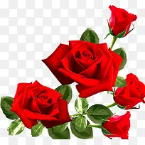 花草ps素材ps花草素材-空若网 花草ps素材ps花草素材-空若网