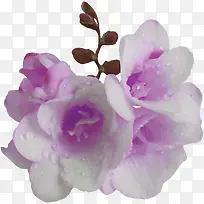 ����ͼƬ�زĻ���ͼ��-������