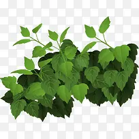 绿草-空若网 绿草-空若网