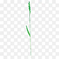 ˮ���̲�-������