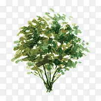 树 树木-空若网 树 树木-空若网