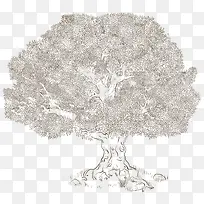 手绘树 树木-空若网 手绘树 树木-空若网