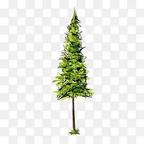 �� ��ľ ľ-������