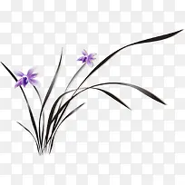 ʸÁ¿ÊÖ»æÀ¼»¨²Ý-¿ÕÈôÍø ʸÁ¿ÊÖ»æÀ¼»¨²Ý-¿ÕÈôÍø