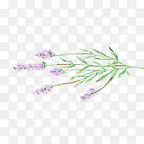 ������-������