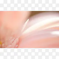 橙色艺术花朵背景-空若网 橙色艺术花朵背景-空若网