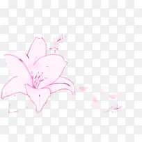 百合背景-空若网 百合背景-空若网