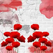 ����ǽ���ʻ�����-������