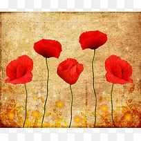 ���Ż����ʻ�����-������