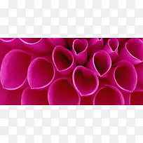 摄影背景-空若网 摄影背景-空若网