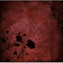 �����ʻ�����-������