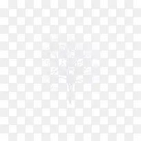 白色的树-空若网 白色的树-空若网