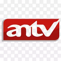 ANTV����Ƶ��SACOM MediaWorks�żӴ�Ƶ��-������