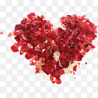 ����õ�廨����-������