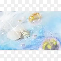 贝壳海水素材清新素材-空若网 贝壳海水素材清新素材-空若网