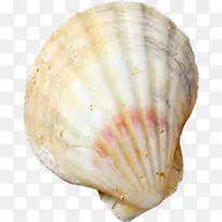 ��ɫ���Ͽ��ڱ���-������