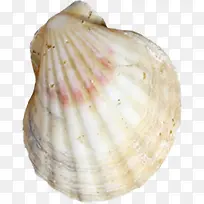 ��ɫ���¿��ڱ���-������