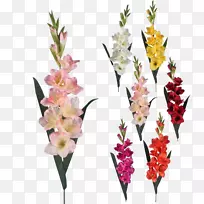 唐菖蒲人工花卉-唐菖蒲透明背景-空若网 唐菖蒲人工花卉-唐菖蒲透明背景-空若网