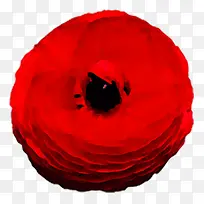 ÏßÌõÐÎ×´ÃλÃÏßÌõËØ²Ä-¿ÕÈôÍø ÏßÌõÐÎ×´ÃλÃÏßÌõËØ²Ä-¿ÕÈôÍø