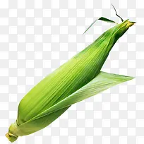 玉米食物素材-空若网 玉米食物素材-空若网