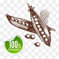 蔬菜-空若网 蔬菜-空若网