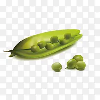 蔬菜-空若网 蔬菜-空若网