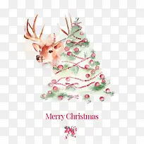 ʥ������-������