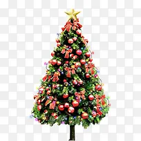 �ֻ��ɫ����ʥ����-������