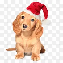 ʥ���ڶ���-������