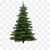 圣诞树素材图-空若网 圣诞树素材图-空若网