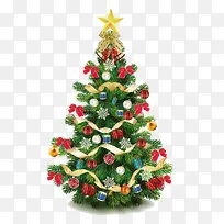 ¶à²ÊÊ¥µ®Ê÷pngËØ²Ä-¿ÕÈôÍø ¶à²ÊÊ¥µ®Ê÷pngËØ²Ä-¿ÕÈôÍø