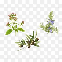 ���Ȿ��ֲ���ز�-������