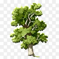 ��-������