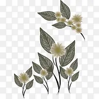 ʸÁ¿Ö²Îï-¿ÕÈôÍø ʸÁ¿Ö²Îï-¿ÕÈôÍø