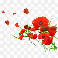 水彩花卉花卉矢量素材-空若网 水彩花卉花卉矢量素材-空若网