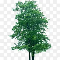 ����������ز�-������