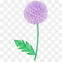 薰衣草-空若网 薰衣草-空若网