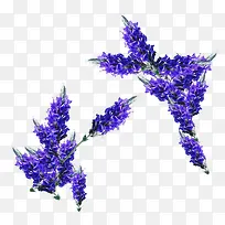 ޹�²�-������