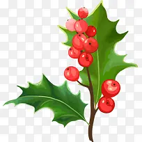 圣诞叶子果子素材-空若网 圣诞叶子果子素材-空若网