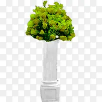 ��ɫֲ����Ӱ�ز�-������