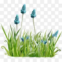 ��ɫ޹�²�-������