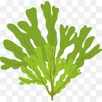 蓬松矢量卡通海草-空若网 蓬松矢量卡通海草-空若网