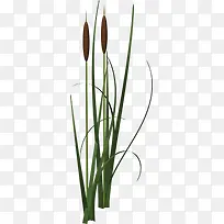 绿色手绘植物创意-空若网 绿色手绘植物创意-空若网