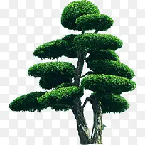 高清创意园林植物摄影-空若网 高清创意园林植物摄影-空若网