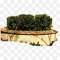 高清创意摄影绿色园林植物-空若网 高清创意摄影绿色园林植物-空若网