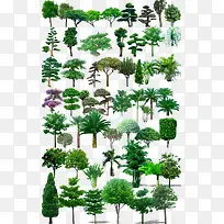 创意高清园林植物摄影-空若网 创意高清园林植物摄影-空若网